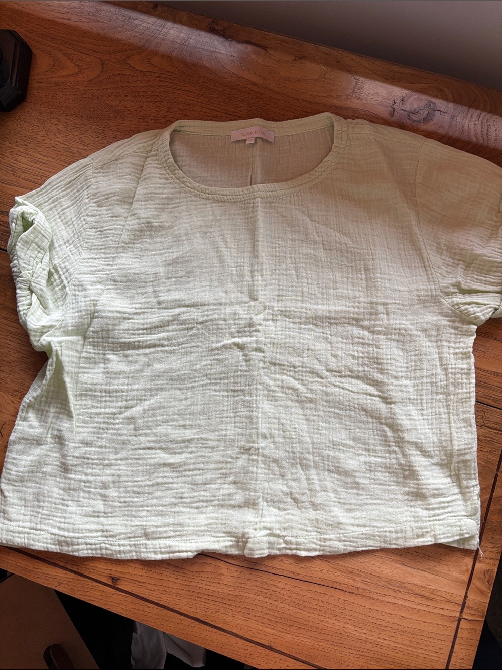 Olivaceous Pale Mint Short-Sleeve Cotton Gauze Top